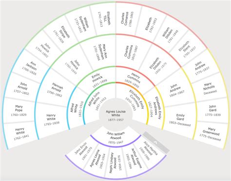 family seasrch|my family tree search.